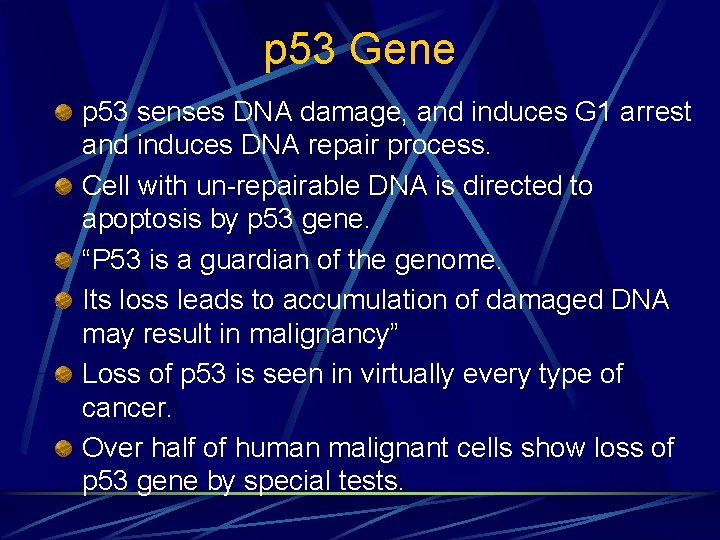 p 53 Gene p 53 senses DNA damage, and induces G 1 arrest and