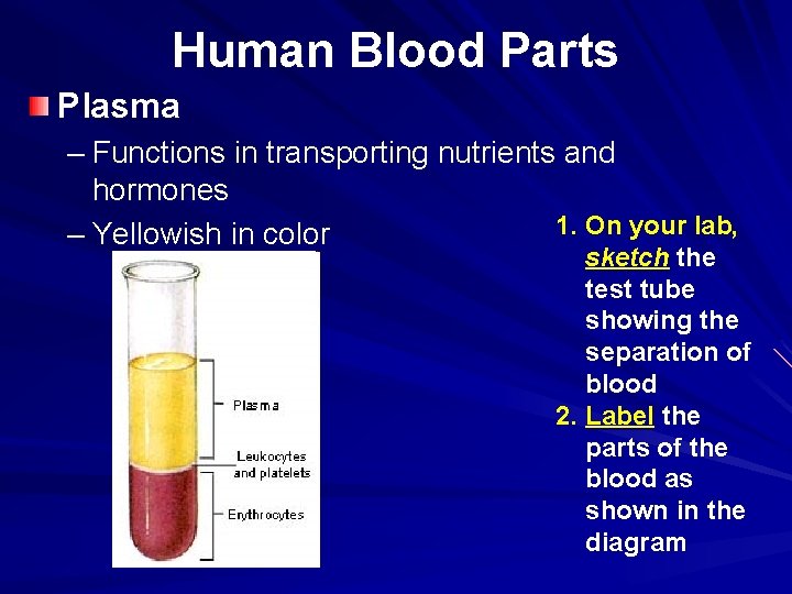 Human Blood Parts Plasma – Functions in transporting nutrients and hormones 1. On your
