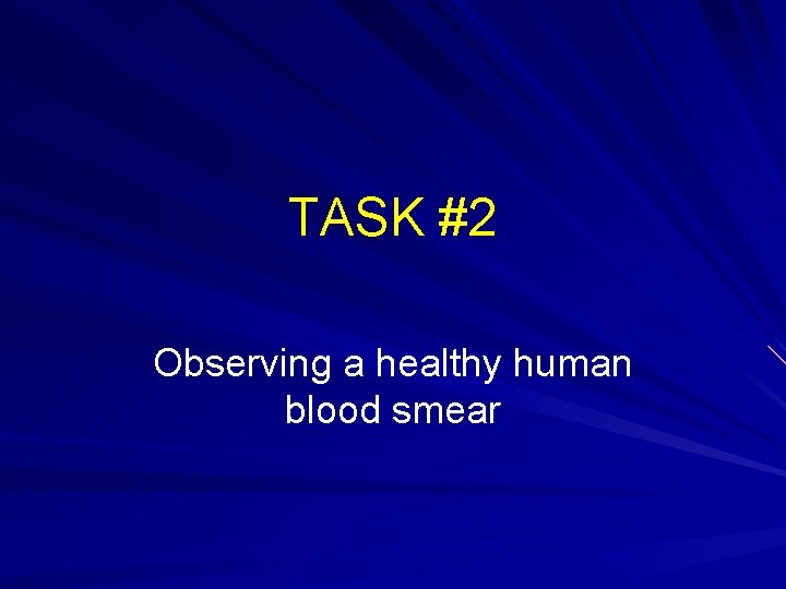 TASK #2 Observing a healthy human blood smear 