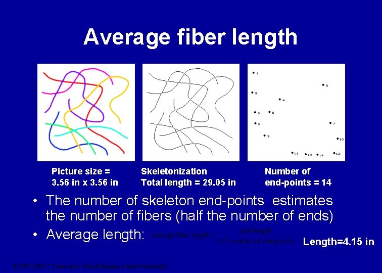 Average fiber length Picture size = 3. 56 in x 3. 56 in Skeletonization