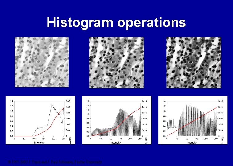 Histogram operations © 1997 -2005 J. Turek and J. Paul Robinson, Purdue University 