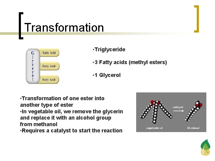 Transformation • Triglyceride • 3 Fatty acids (methyl esters) • 1 Glycerol • Transformation