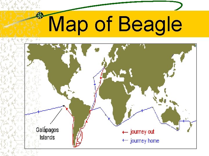 Map of Beagle 