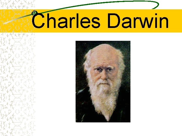 Charles Darwin 
