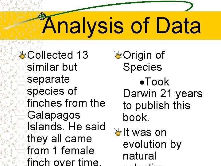 Analysis of Data Collected 13 similar but separate species of finches from the Galapagos