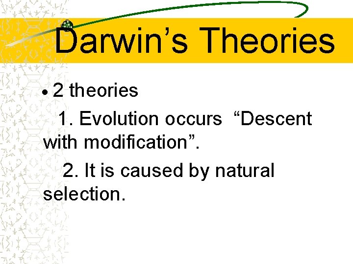 Darwin’s Theories · 2 theories 1. Evolution occurs “Descent with modification”. 2. It is