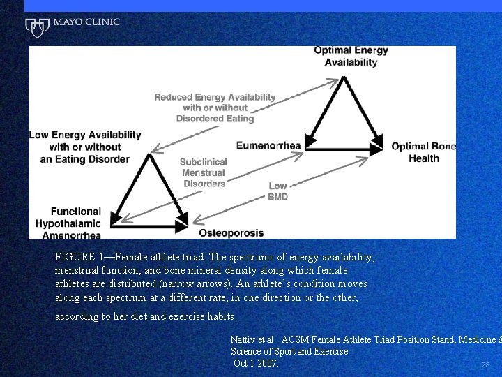 FIGURE 1—Female athlete triad. The spectrums of energy availability, menstrual function, and bone mineral