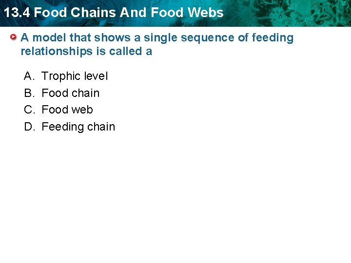 13. 4 Food Chains And Food Webs A model that shows a single sequence