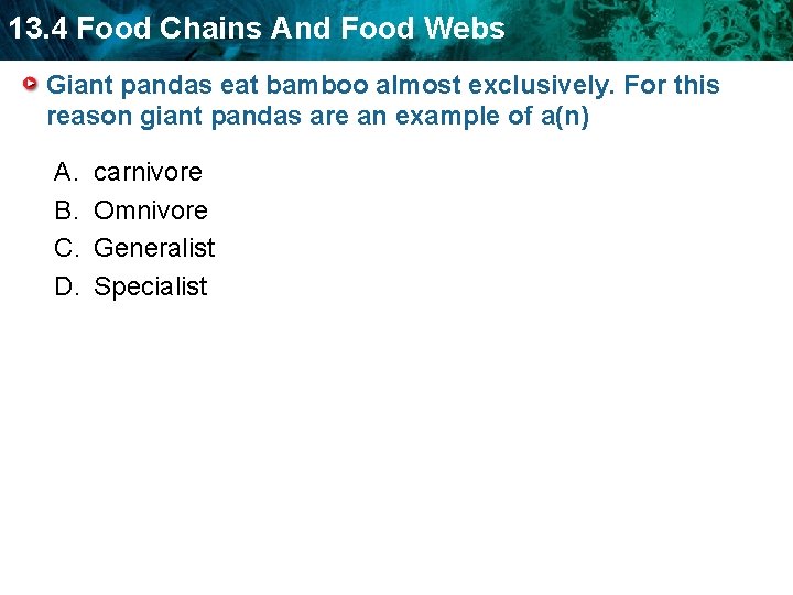 13. 4 Food Chains And Food Webs Giant pandas eat bamboo almost exclusively. For