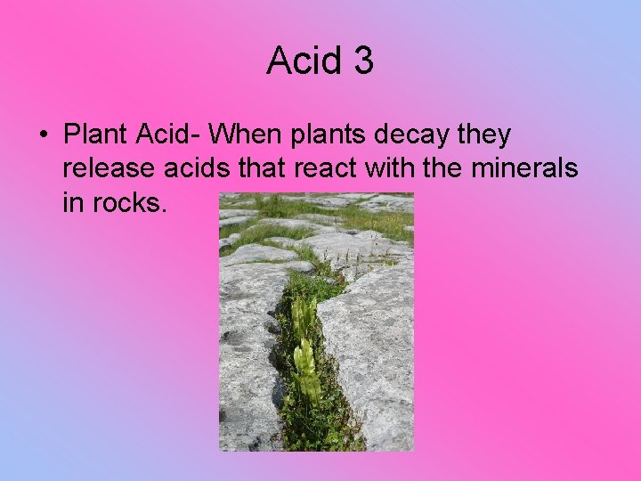 Acid 3 • Plant Acid- When plants decay they release acids that react with