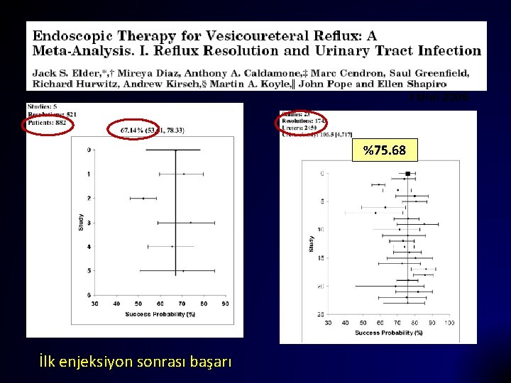J Urol 2006 %75. 68 İlk enjeksiyon sonrası başarı 