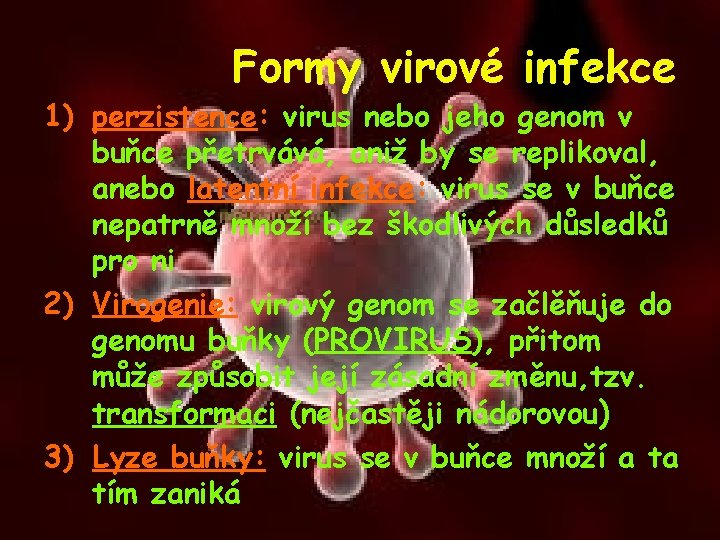 Formy virové infekce 1) perzistence: virus nebo jeho genom v buňce přetrvává, aniž by