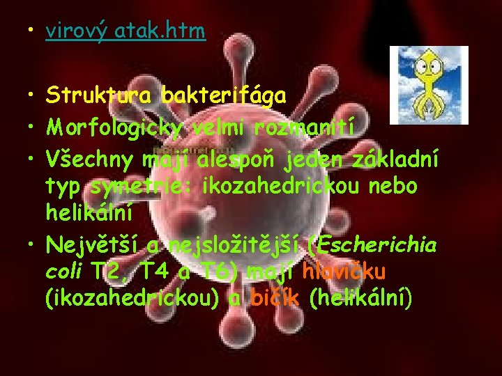  • virový atak. htm • Struktura bakterifága • Morfologicky velmi rozmanití • Všechny