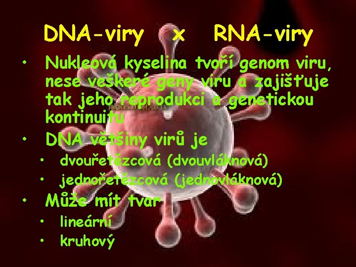 DNA-viry • • • x RNA-viry Nukleová kyselina tvoří genom viru, nese veškeré geny