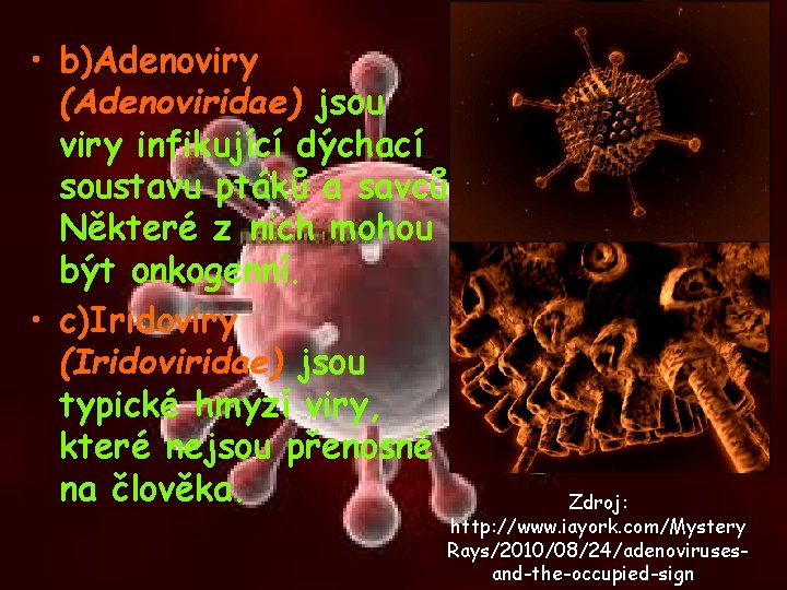  • b)Adenoviry (Adenoviridae) jsou viry infikující dýchací soustavu ptáků a savců. Některé z