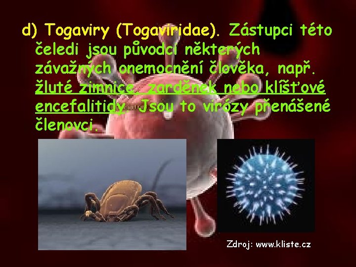 d) Togaviry (Togaviridae). Zástupci této čeledi jsou původci některých závažných onemocnění člověka, např. žluté