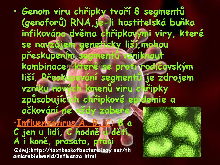  • Genom viru chřipky tvoří 8 segmentů (genoforů) RNA, je-li hostitelská buňka infikována