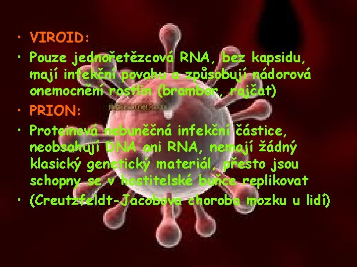  • VIROID: • Pouze jednořetězcová RNA, bez kapsidu, mají infekční povahu a způsobují