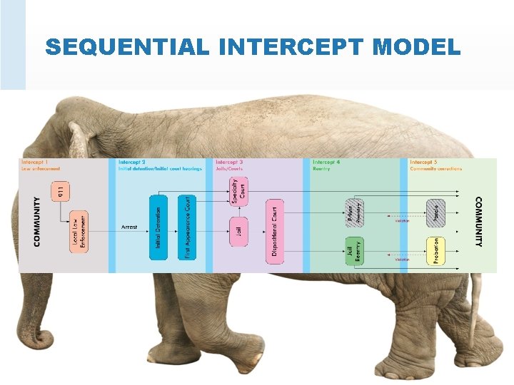 SEQUENTIAL INTERCEPT MODEL 