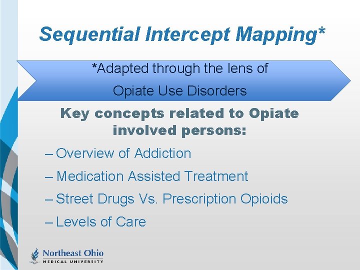 Sequential Intercept Mapping* *Adapted through the lens of Opiate Use Disorders Key concepts related