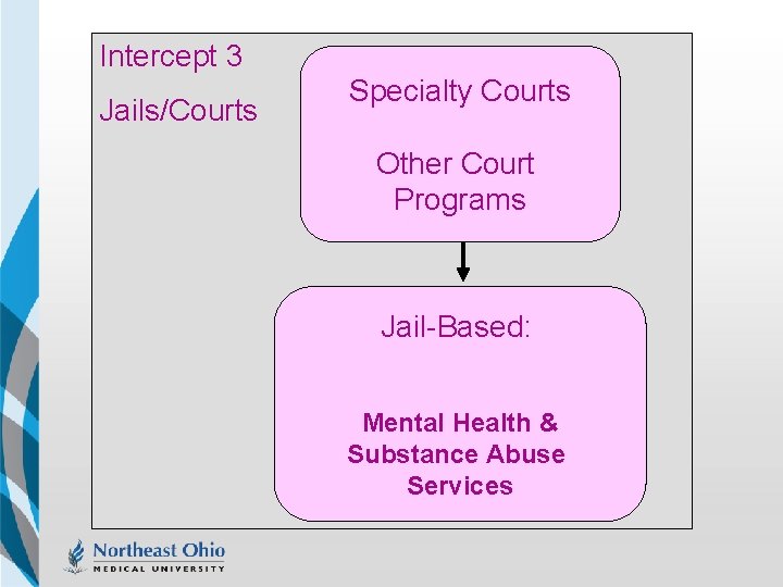 Intercept 3 Jails/Courts Specialty Courts Other Court Programs Jail-Based: Mental Health & Substance Abuse