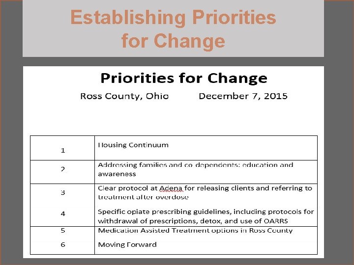 Establishing Priorities for Change www. gainscenter. samhsa. gov 