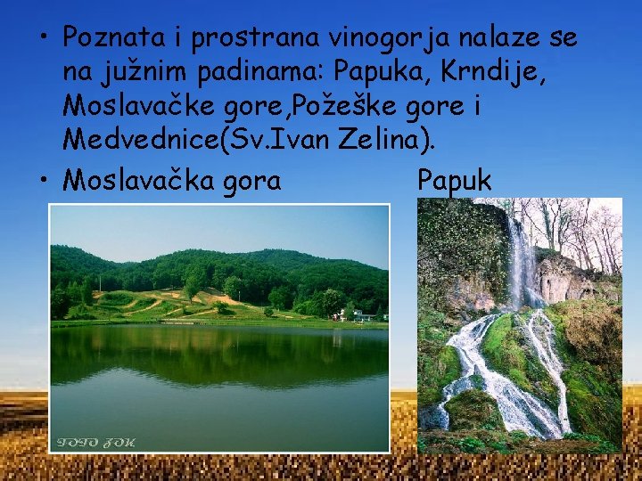  • Poznata i prostrana vinogorja nalaze se na južnim padinama: Papuka, Krndije, Moslavačke