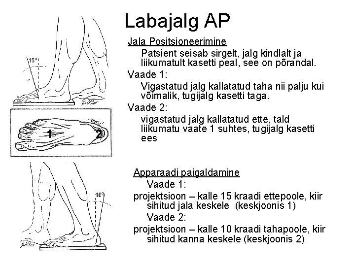 Labajalg AP 1 2 Jala Positsioneerimine Patsient seisab sirgelt, jalg kindlalt ja liikumatult kasetti