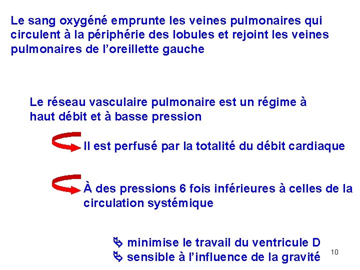 Le sang oxygéné emprunte les veines pulmonaires qui circulent à la périphérie des lobules