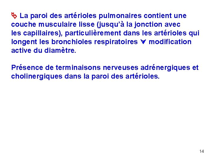  La paroi des artérioles pulmonaires contient une couche musculaire lisse (jusqu’à la jonction