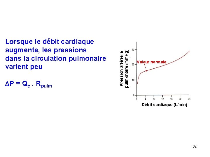  P = Qc. Rpulm Pression artérielle pulmonaire (mm. Hg) Lorsque le débit cardiaque