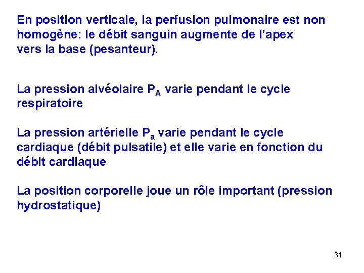 En position verticale, la perfusion pulmonaire est non homogène: le débit sanguin augmente de