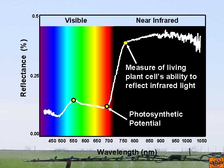 Reflectance (%) 0. 5 Visible Near Infrared Measure of living plant cell’s ability to