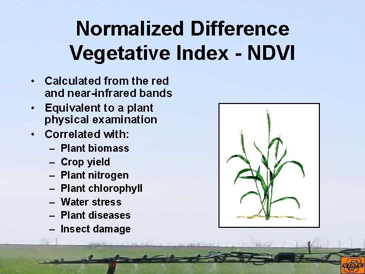 Normalized Difference Vegetative Index - NDVI • Calculated from the red and near-infrared bands