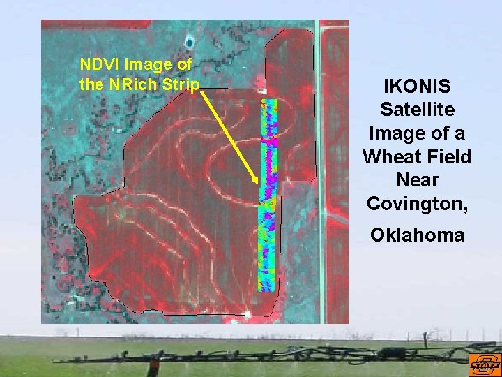 NDVI Image of the NRich Strip IKONIS Satellite Image of a Wheat Field Near