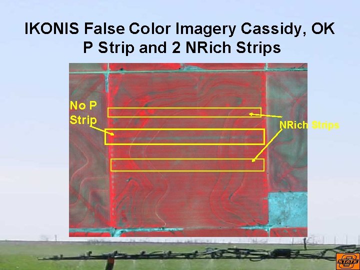 IKONIS False Color Imagery Cassidy, OK P Strip and 2 NRich Strips No P