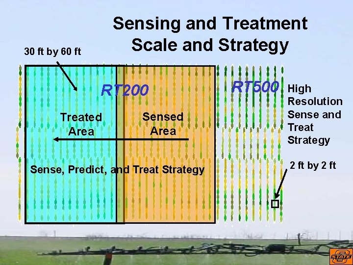 Sensing and Treatment Scale and Strategy 30 ft by 60 ft RT 200 Treated