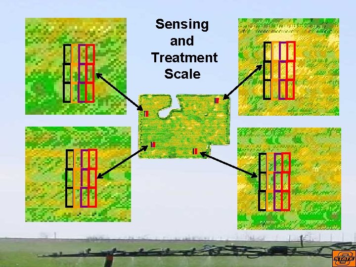 Sensing and Treatment Scale 