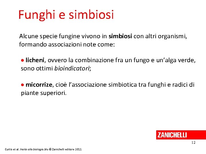 Funghi e simbiosi Alcune specie fungine vivono in simbiosi con altri organismi, formando associazioni