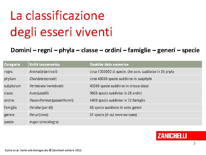 La classificazione degli esseri viventi Domìni – regni – phyla – classe – ordini