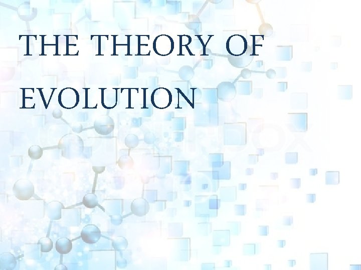 THE THEORY OF EVOLUTION 