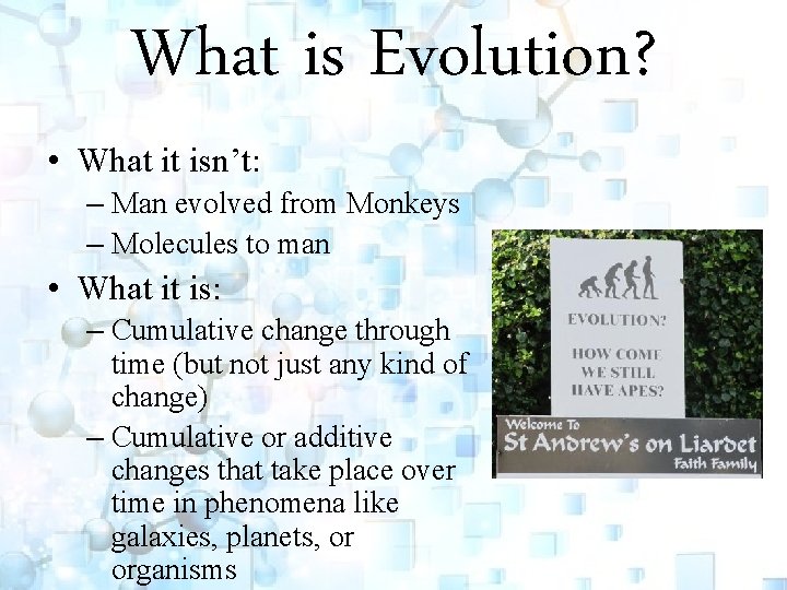 What is Evolution? • What it isn’t: – Man evolved from Monkeys – Molecules