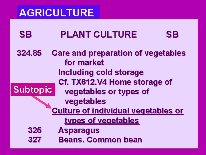 AGRICULTURE SB 324. 85 PLANT CULTURE SB Care and preparation of vegetables for market