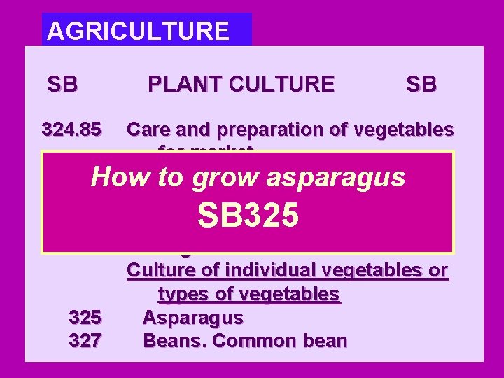 AGRICULTURE SB PLANT CULTURE 324. 85 SB Care and preparation of vegetables for market