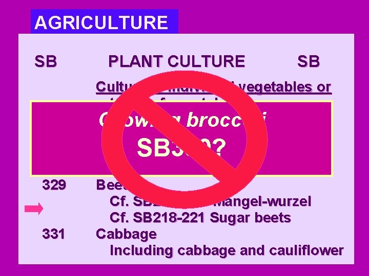 AGRICULTURE SB 325 327 329 331 PLANT CULTURE SB Culture of individual vegetables or