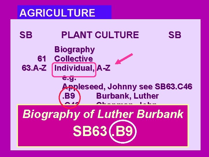 AGRICULTURE SB PLANT CULTURE SB Biography 61 Collective Luther. A-Z Burbank 63. A-Z Individual,