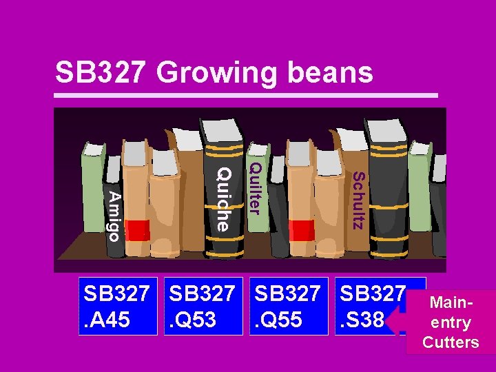 SB 327 Growing beans Schultz Quilter Quiche Amigo SB 327. A 45. Q 53.