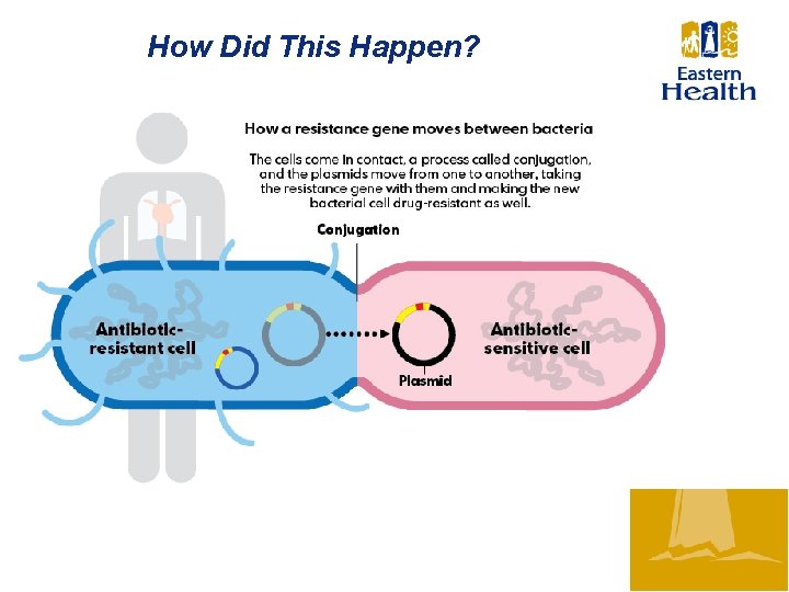 How Did This Happen? 