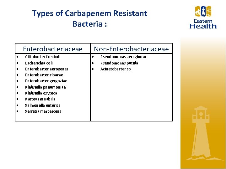 Types of Carbapenem Resistant Bacteria : Enterobacteriaceae Cittobacter freuindi Escherichia coli Enterobacter aerogenes Enterobacter