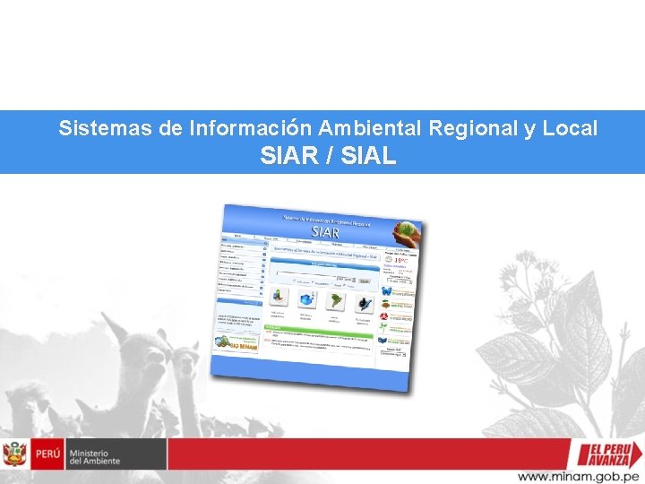 Sistemas de Información Ambiental Regional y Local SIAR / SIAL 